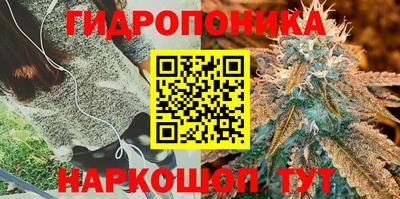 бутират Чебоксары
