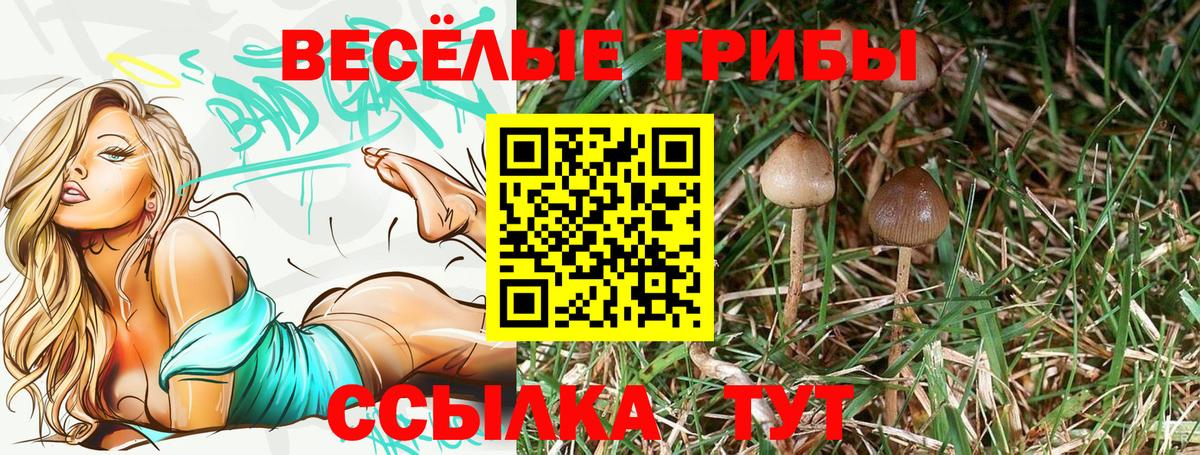 Североуральск  Псилоцибиновые грибы ЛСД  Вход с VPN 